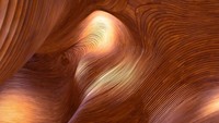 International Photography Awards 2023