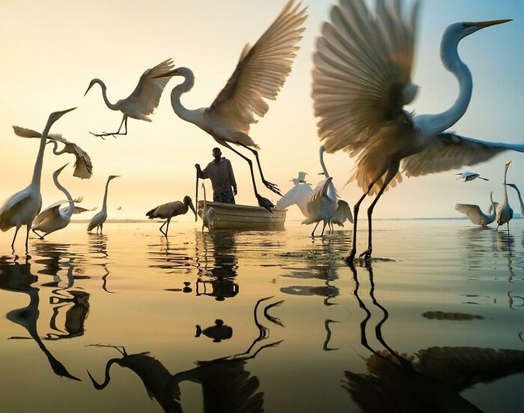 International Photography Awards 2023