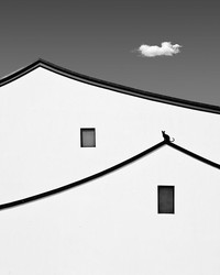 International Photography Awards 2023