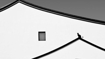 Karya Bin Zhang. “Ini adalah foto yang diambil dengan ponsel. Lokasi syutingnya berada di Suzhou, Tiongkok. Ini adalah bentuk arsitektur tradisional Tiongkok. Bentuknya yang minimalis berwarna hitam putih meninggalkan kesan mendalam bagi saya.” Foto: International Photography Awards