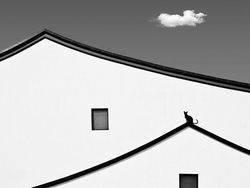 Foto Spektakuler Kontes Foto Internasional 2023 Bikin Terkesima