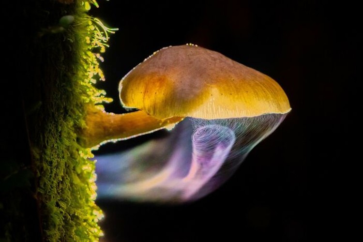 International Photography Awards 2023