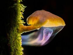 Foto Spektakuler Kontes Foto Internasional 2023 Bikin Terkesima