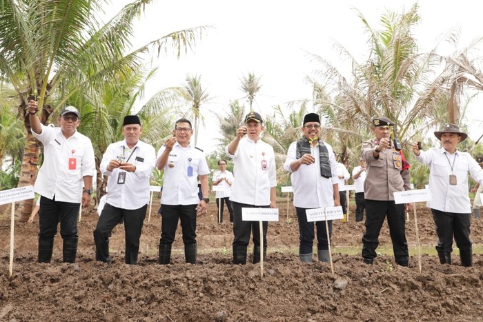 Kawasan Pertanian Desa Kohod
