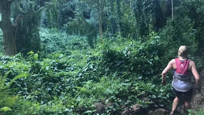 Pelari Bertemu Hantu di Hutan Hawaii