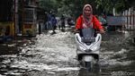 Aksi Pemotor Nekat Terobos Banjir di Cilincing Jakut