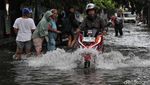 Aksi Pemotor Nekat Terobos Banjir di Cilincing Jakut