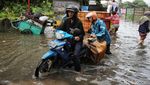 Aksi Pemotor Nekat Terobos Banjir di Cilincing Jakut