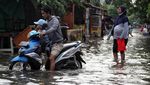 Aksi Pemotor Nekat Terobos Banjir di Cilincing Jakut