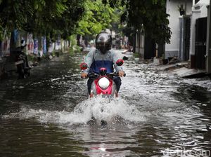 Aksi Pemotor Nekat Terobos Banjir di Cilincing Jakut