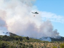 Penampakan Kepulan Asap Kebakaran Hutan di Argentina