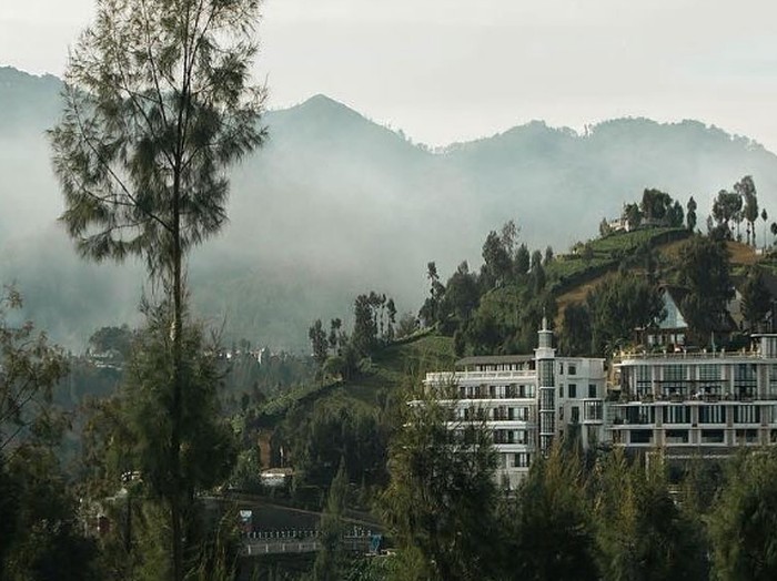 Plataran Bromo adalah hotel mewah di gerbang Taman Nasional Bromo Tengger Semeru (TNBTS). Di hotel ini Anda akan menemukan banyak tempat makan dan spa, serta kamar yang luas. Juga terdapat akses WiFi gratis di seluruh properti.