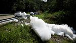 Tumpahan Asam Sulfonat Cemari Sungai di Brasil