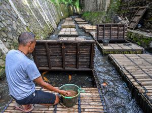 Kreatif! Warga Bandung Manfaatkan Sungai untuk Budi Daya Ikan