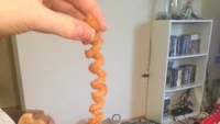 Curly fries merupakan bentuk lain dari French fries. Tapi curly fries yang satu ini panjangnya di atas ukuran kentang normal. Foto: Site/BuzzFeed