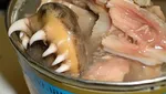 10 Makanan Ini Bentuknya Tak Masuk Akal dan Bikin Heboh