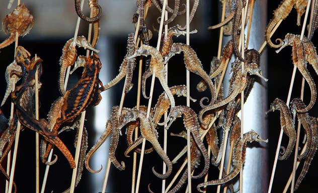 5 Makanan Ekstrem dan Aneh dari China Ini Bikin Mual