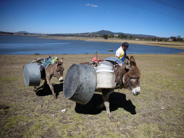 Dilanda Kekeringan, Warga Meksiko Manfaatkan Air Waduk yang Menyusut