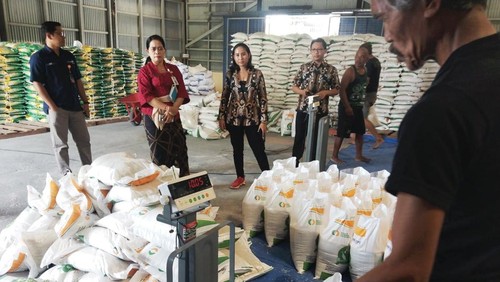 Dinas Ketahanan Pangan dan Perikanan, Klungkung, memantau proses pengepakan beras untuk CBP yang siap disebar minggu depan, Kamis (1/2/2024). (Istimewa)