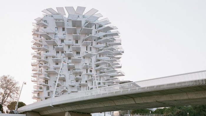 gedung mirip pohon/Cyrille Weiner via Dezeen