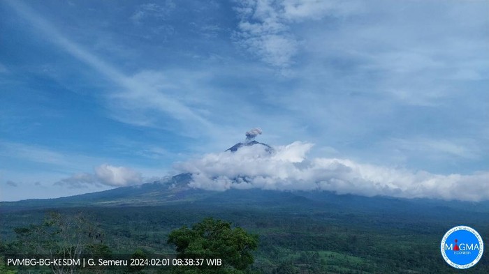 gunung semeru erupsi  Kamis, 01 Februari 2024, pukul 08:38 WIB