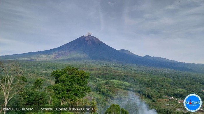 gunung semeru erupsi  Kamis, 01 Februari 2024, pukul 06:46 WIB