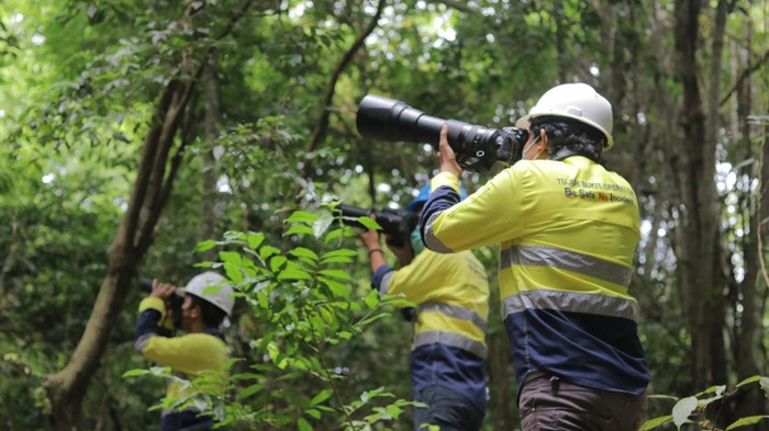 hutan di Kecamatan Pesanggaran, Banyuwangi.