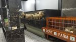 Nggak Nyangka Luarnya Rumah Manusia, Ternyata Dalemnya Kandang Domba Mewah