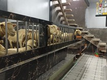 Nggak Nyangka Luarnya Rumah Manusia, Ternyata Dalemnya Kandang Domba Mewah