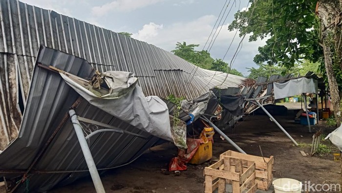 Salah satu los ikan di pasar relokasi yang roboh berlokasi di area parkir Pemkab Jembrana, Kabuoaten Jembrana, Kamis (1/2/2024). (I Putu Adi Budiastrawan/detikBali).