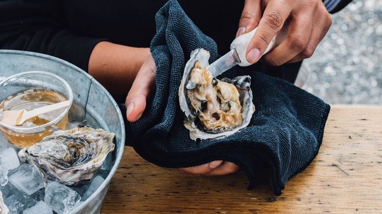 oyster