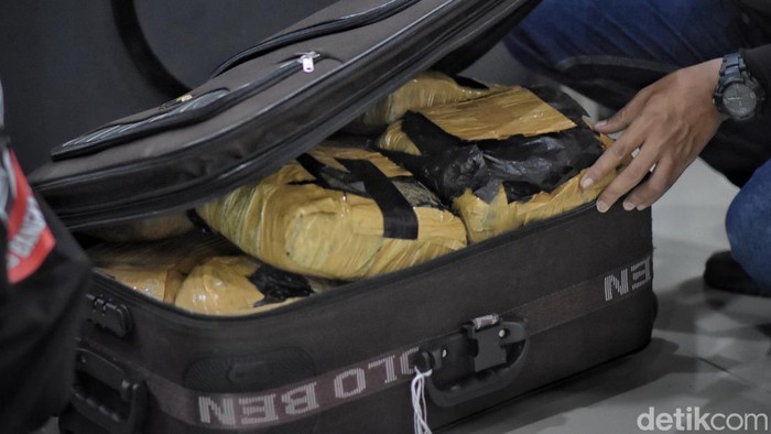 Penampakan 24 Kg ganja yang berhasil disita polisi dari 2 kurir di Bangka Tengah.