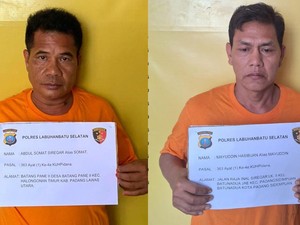 2 Pencuri Uang-HP Modus Pecah Kaca Mobil di Labusel Diringkus, Kerugian Rp 26 Juta