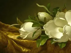 10 Temuan Terlihat Biasa Ternyata Nilainya Bikin Melotot, Triliunan!