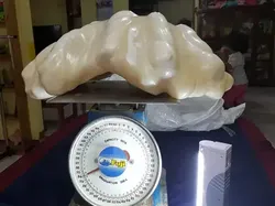 10 Temuan Terlihat Biasa Ternyata Nilainya Bikin Melotot, Triliunan!