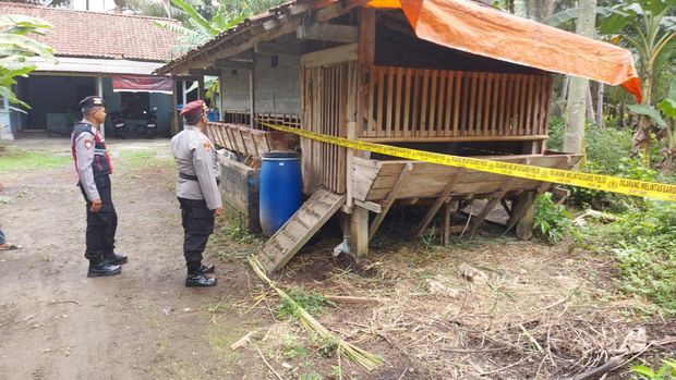 TKP hilangnya ternak kambing milik warga di Panjatan, Kulon Progo, Kamis (1/2/2024).