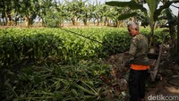 Warga berharap sungai tersebut segera dibersihkan oleh pihak terkait.