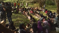 Para pengungsi mendarat di lokasi tersebut pada Kamis (1/2/2024) sekitar pukul 04.00 WIB. Pengungsi terdiri dari 32 pria dewasa, 46 orang perempuan dewasa serta 53 anak-anak. (AP Photo/Husna Mura)  