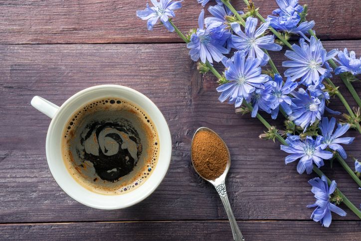 bunga kopi