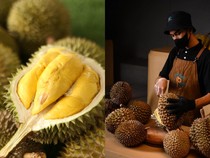 Di 5 Tempat Ini Bisa Makan Durian Langsung di Kebun hingga Sepuasnya!