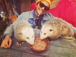 Potret Tingkah Absurd Manusia, Bikin Ngakak dan Heran