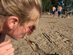 Potret Tingkah Absurd Manusia, Bikin Ngakak dan Heran