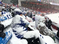 Potret Tingkah Absurd Manusia, Bikin Ngakak dan Heran