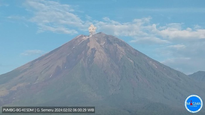 gunung semeru erupsi 600 m di atas puncak Jumat, 02 Februari 2024, pukul 05:59 WIB