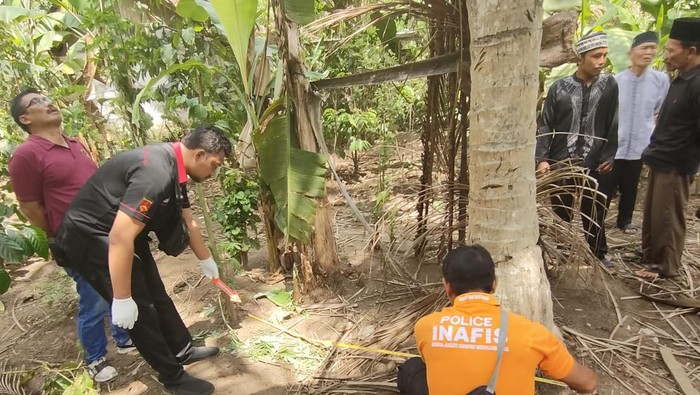 Polisi melakukan olah TKP korban jatuh dari pohon di Desa Melaya, Kecamatan Melaya, Jembrana, Jumat (2/2/2024).