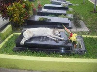 Kumpulan Foto Emosional yang Bikin Hati Sedih dan Haru