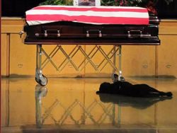 Kumpulan Foto Emosional yang Bikin Hati Sedih dan Haru