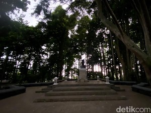 Jabar Bidik 3 Kawasan Jadi Taman Hutan Raya