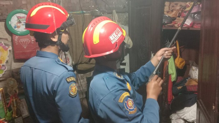 Ngeri Ular Kobra Masuk Lemari Kamar, Warga Bogor Panggil Damkar
