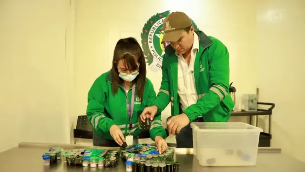 Penyelundupan katak beracun langka di Bogota